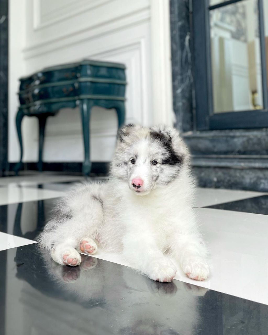 Oscar